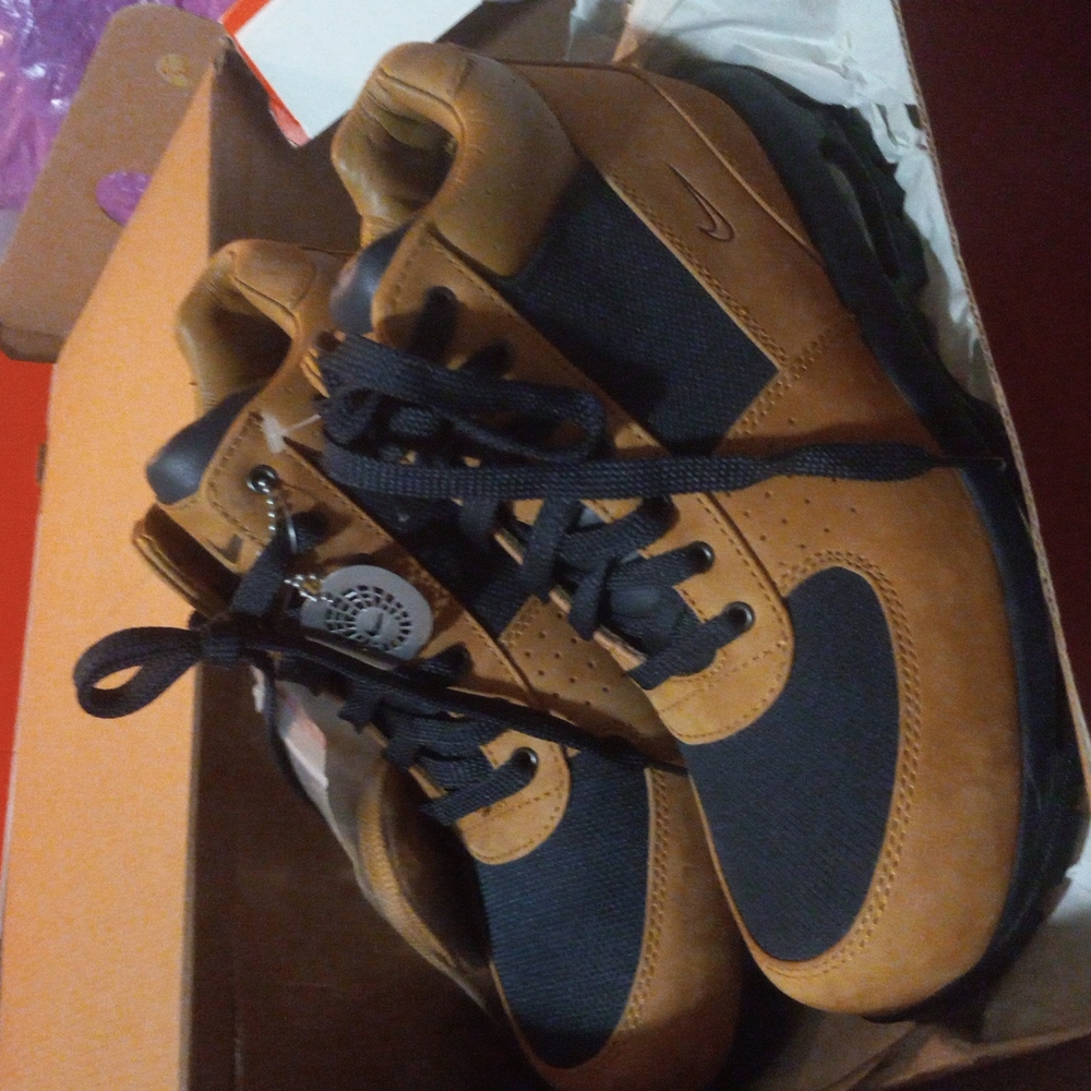Air Max Goadome 2 f/l ACG